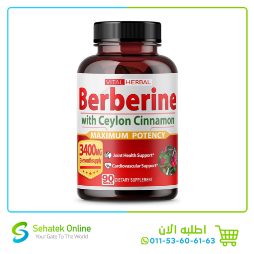 Berberine with Ceylon Cinnamon 90Caps