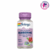 Berberine 500mg 60Caps