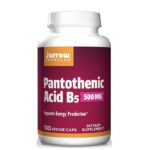 Pantothenic Acid B5 500mg 100Veggie Caps