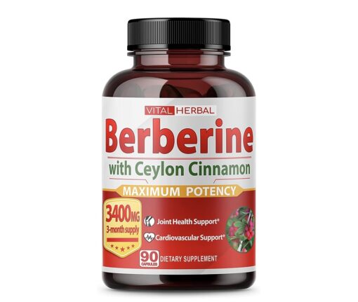Berberine with Ceylon Cinnamon 90Caps