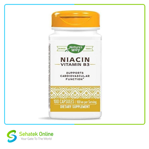 Niacin 100mg 100Caps