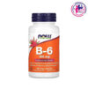 B-6 100mg 100Caps