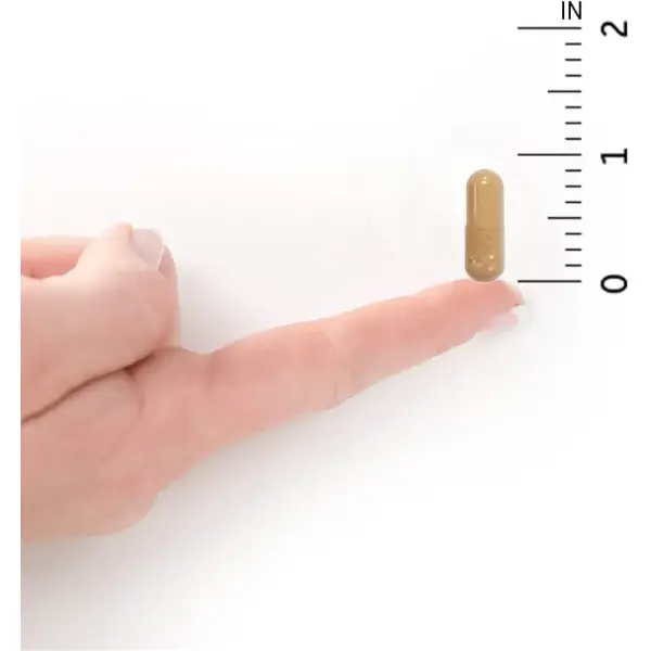 31dZ0Zjq9mL._AC_UF10001000_QL80_FMwebp_-600x600-1.webp