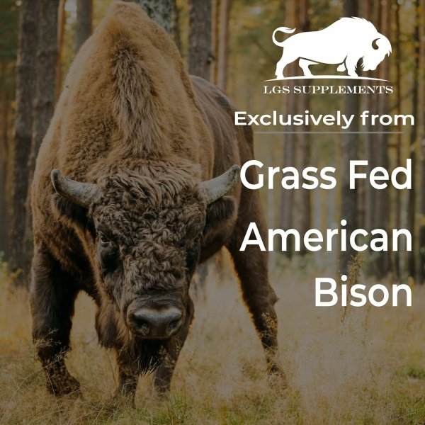Grass Fed Bison Liver Capsules Supports Energy Production, Detoxification, Digestion, Immunity, Natural Iron Non-GMO, Freeze Dried Liver Health Supplement, 3000mg - الصورة 13