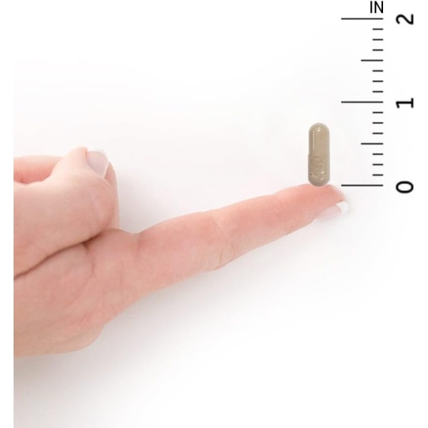 51CMy5GAJGL._AC_SL1000_-600x600-2.jpg