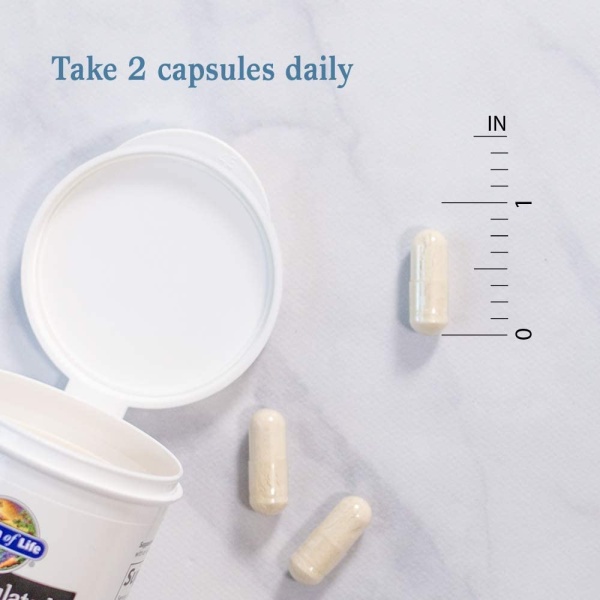 51jJ7m3upVL._AC_SL1000_-600x600-1.jpg