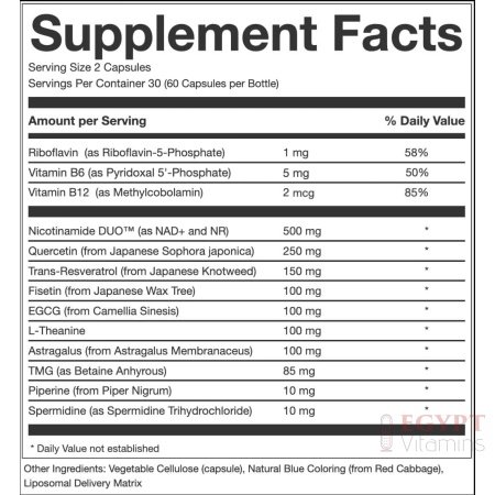 AEON Liposomal NAD+ Longevity Complex, with NAD+, NR, Resveratrol, Quercetin, Fisetin, L Theanine, TMG, EGCG, Spermidine, Astragalus, Anti-Aging Supplement, Vegan, 60 Capsules - الصورة 14