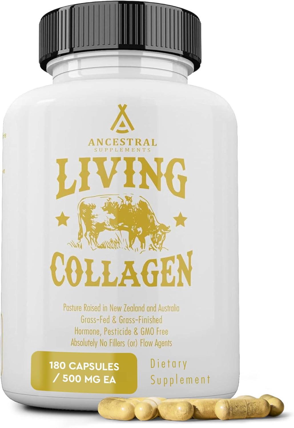Ancestral Supplements Grass Fed Beef Living Collagen |Type II Collagen |180 Capsules