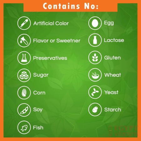 71CGG0t7GBL._AC_SL1200_-450x450-1.jpg