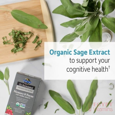 Garden of Life Dr. Formulated Organic Brain Health Memory & Focus for Young Adults Tablets دكتور فورميلايد ، فيتامينات ومعادن نباتية عضوية لصحة المخ والذاكرة ، وزيادة التركيز لصغار البالغين ، 60 حباية - الصورة 19