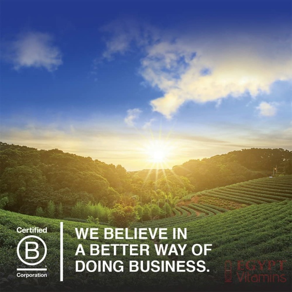 Garden of Life Vitamin Code Whole Food Mens Vitamins Mental & Physical Energy, Heart & Prostate Health, 240 Vegetarian Capsules جاردين اوف لايف ، فيتامين كود ، فيتامينات و معادن متعددة مع البروبيوتيك ، لتحسين الصحة العامة للرجال ، لصحة القلب والبروستاتا، وزيادة إنتاج الطاقة ، 240 كبسولة نباتية - الصورة 17