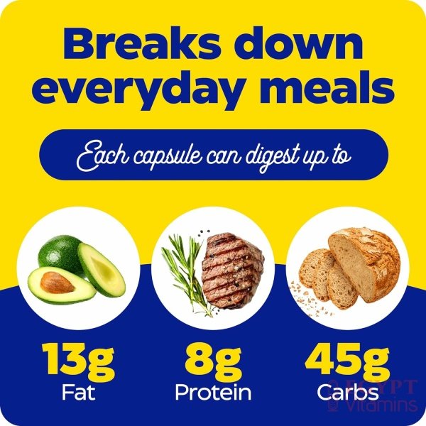 Enzymedica Digest, Complete Enzyme Formula for Everyone’s Digestive Health, with Full Range of Enzymes for Everyday Diets, 90 Capsulesتركيبة إنزيمية كاملة لصحة الجهاز الهضمي وحل مشاكله من تقلصات وانتفاخات وعسر الهضم عبوة 90 كبسولة - الصورة 12