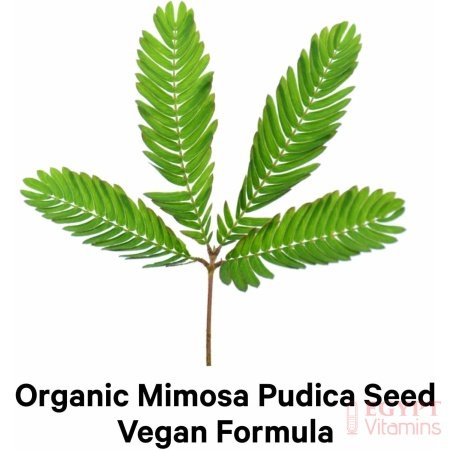 Codeage Organic Mimosa Pudica Seed Capsules – Mimosa Pudica Seeds Supplement – Black Walnut, Cloves, Vidanga, Neem, BioPerine – All in One – Sensitive Plant Pills – Non-GMO & Vegan – 120 Capsules - الصورة 24