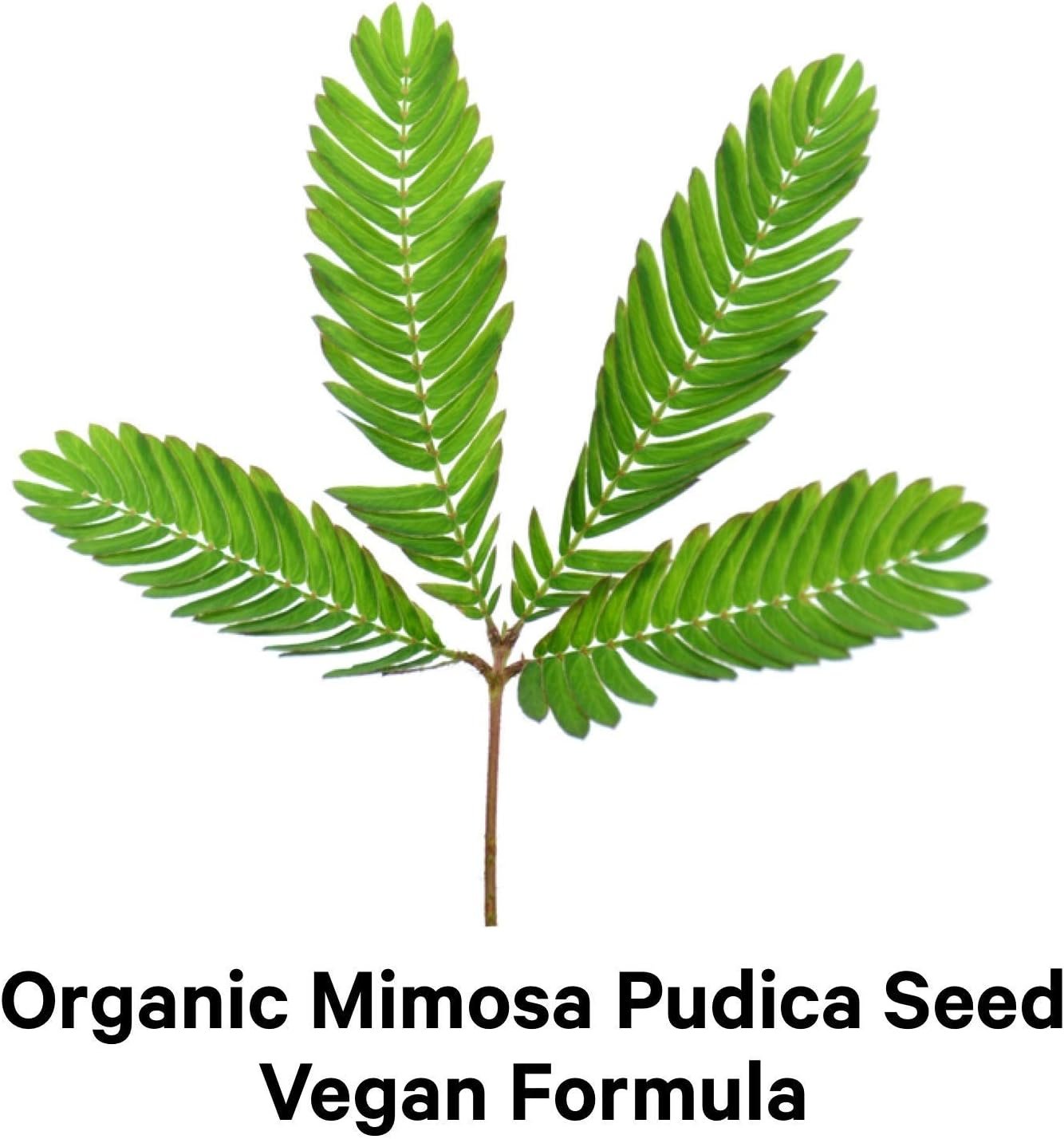 Codeage Organic Mimosa Pudica Seed Capsules – Mimosa Pudica Seeds Supplement – Black Walnut, Cloves, Vidanga, Neem, BioPerine – All in One – Sensitive Plant Pills – Non-GMO & Vegan – 120 Capsules - الصورة 6