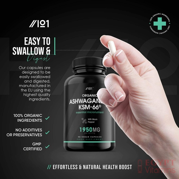 71LvypCSyhL._AC_SL1500_-600x600-1.jpg