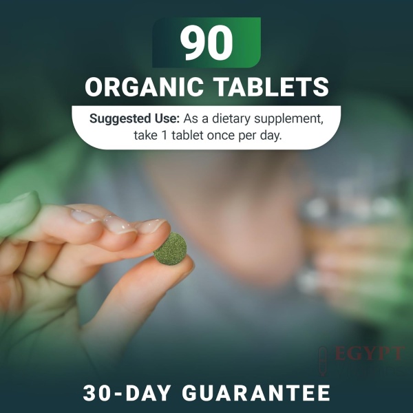 71ci43DHr9L._AC_SL1500_-600x600-1.jpg