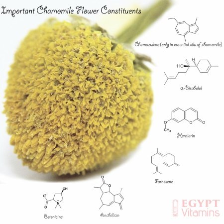 Chamomile Tea 1LB (16Oz) 100% CERTIFIED Organic (USDA seal) Chamomile Flowers Herbal Tea (Matricaria Chamomilla) in 1 lb Bulk Kraft BPA free Resealable Bags from U.S. Wellness - الصورة 20