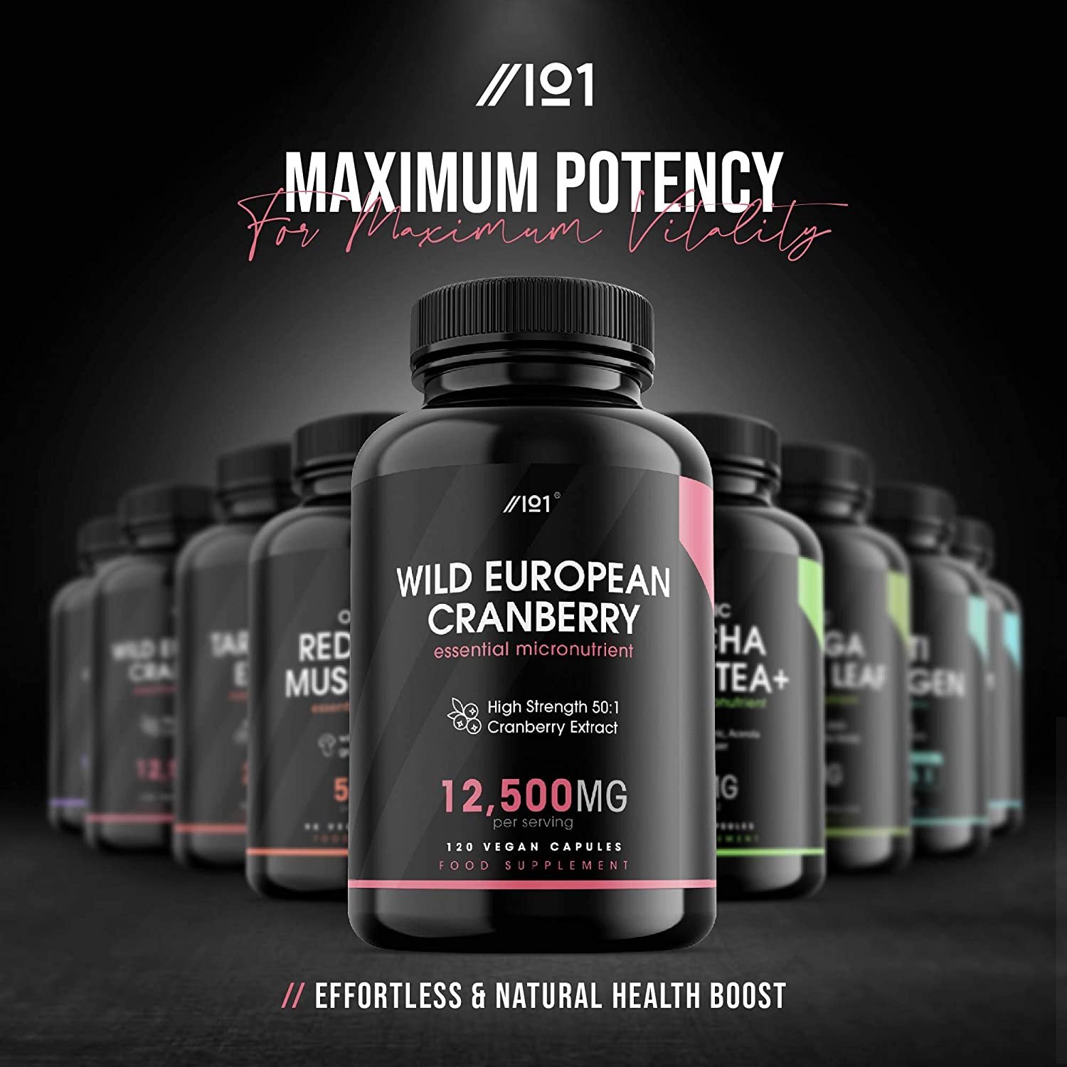 ALPHA01 Wild Cranberry Extract – 12,500mg – High Strength 50:1 Cranberry Extract, 120 Vegan Capsules – No Additives — Non-GMO, Gluten Free. مسحوق الكرانبيرى 12500 مجم للجرعة، عالى التركيز ، بنسبة استخلاص 1 : 50، 120 كبسولة نباتية، بدون إضافات - الصورة 7