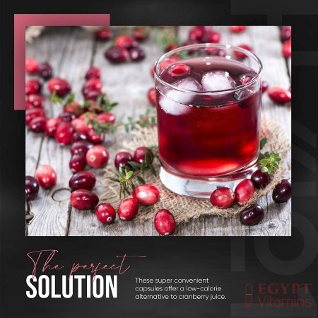 ALPHA01 Wild Cranberry Extract – 12,500mg – High Strength 50:1 Cranberry Extract, 120 Vegan Capsules – No Additives — Non-GMO, Gluten Free. مسحوق الكرانبيرى 12500 مجم للجرعة، عالى التركيز ، بنسبة استخلاص 1 : 50، 120 كبسولة نباتية، بدون إضافات - الصورة 21