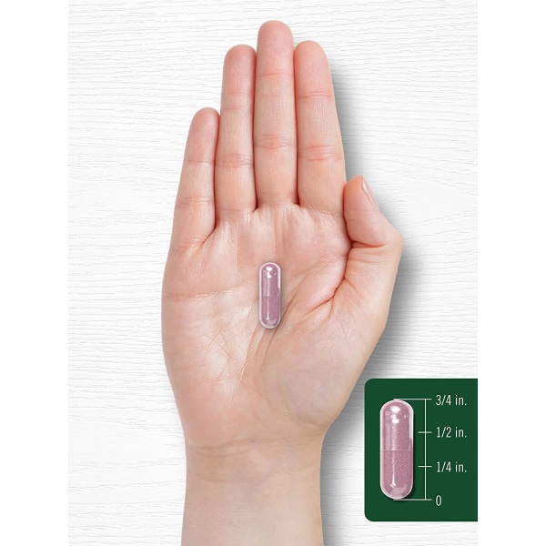 81OJN-YKCTL._AC_SL1500_-600x600-1.jpg