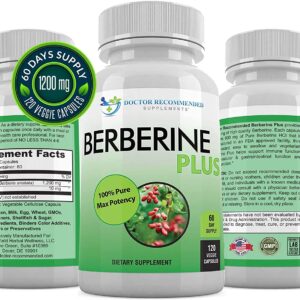 Berberine Plus: Natural Blood Sugar & Weight Support | 120 Capsules