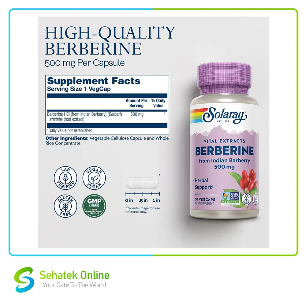 Berbrine2-2.webp