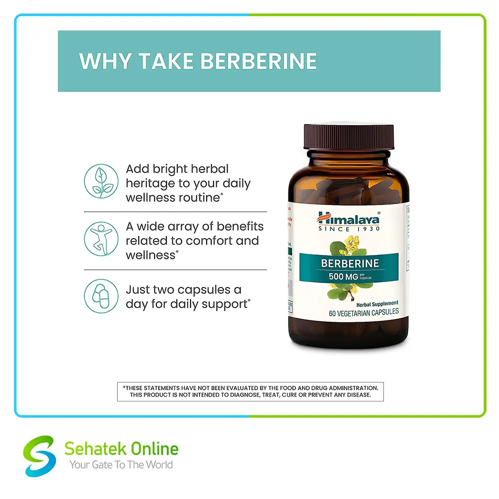 Berbrine3-1.webp