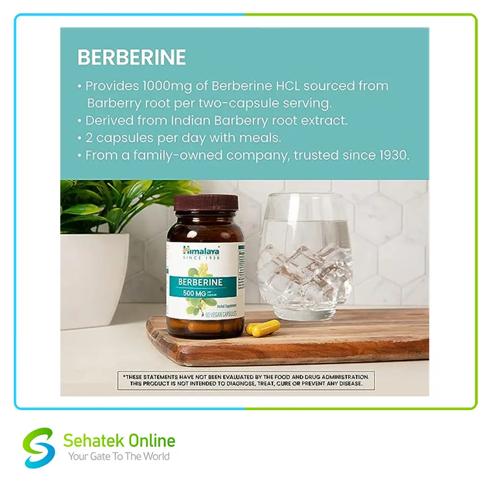 Berbrine4.webp
