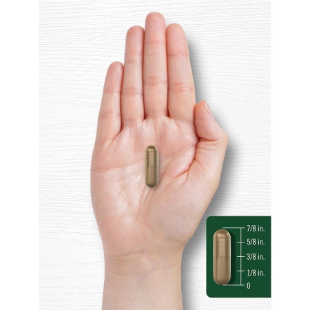 Carlyle-Fennel-Seed-480mg-Capsule-size-450x450-1.jpg
