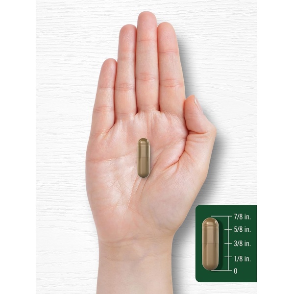 Carlyle-Fennel-Seed-480mg-Capsule-size-600x600-1.jpg