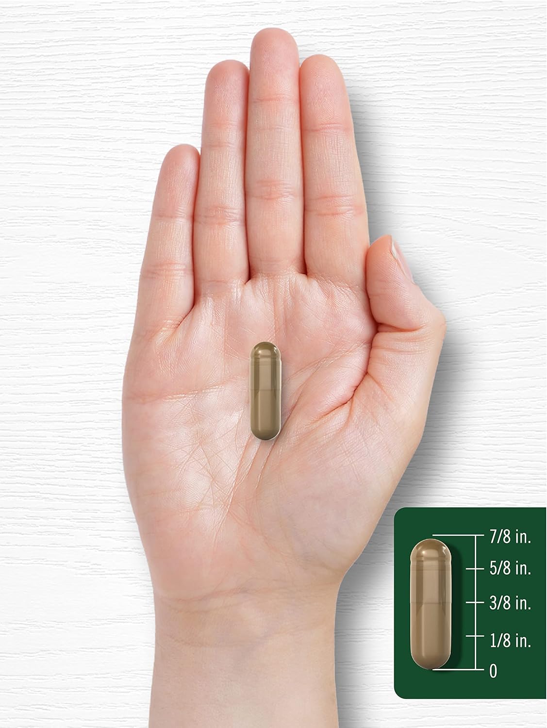 Carlyle-Fennel-Seed-480mg-Capsule-size.jpg