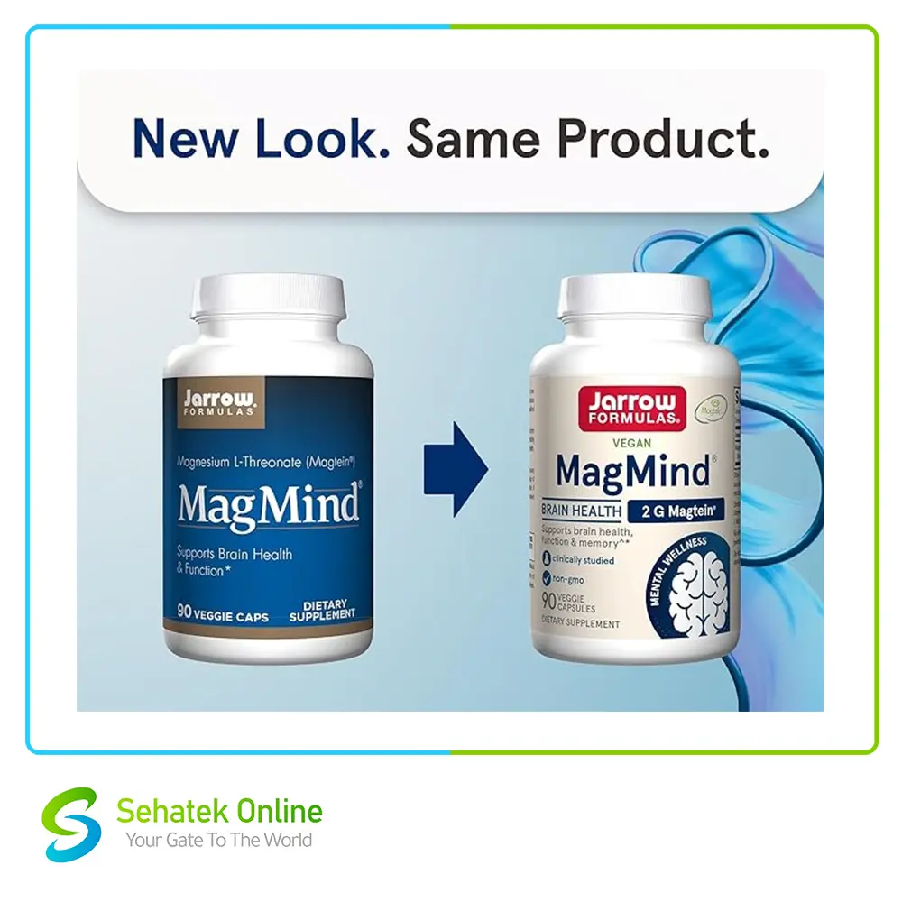 MagMind2.webp