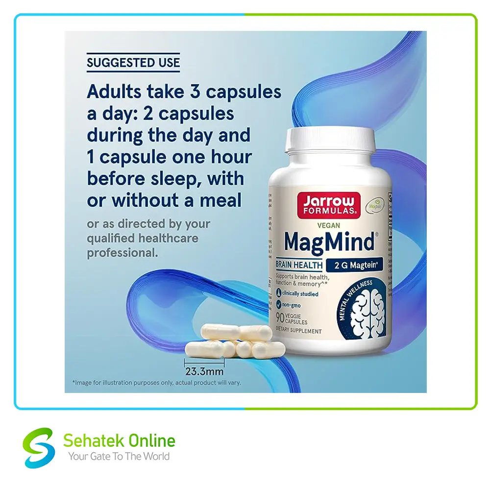MagMind4.webp
