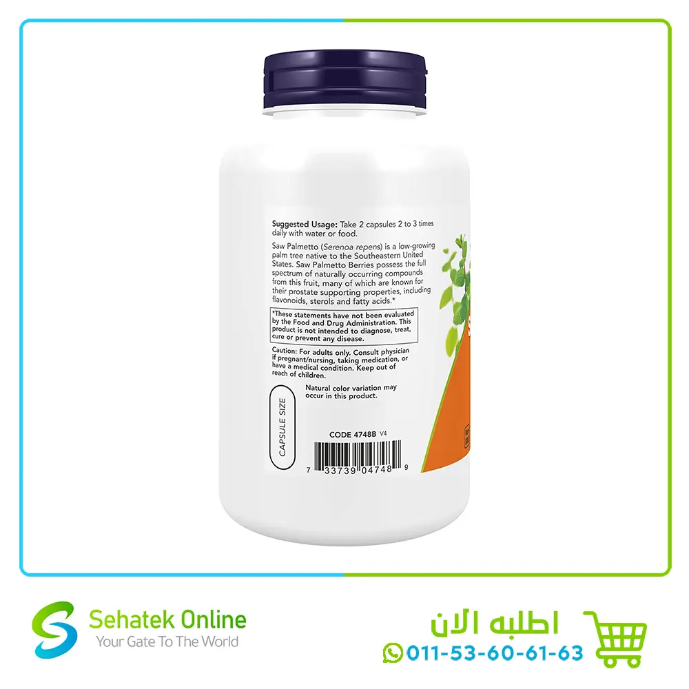 Saw-palmetto4.webp