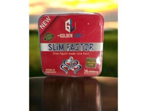 Slimfactor-300x226-1.jpg