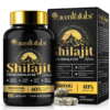 Labs Shilajit Acential 75 servings