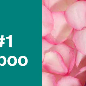 باتيست شامبو جاف بلس بريليانت بلوند 200 ملي