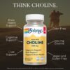 Solaray Choline 60caps