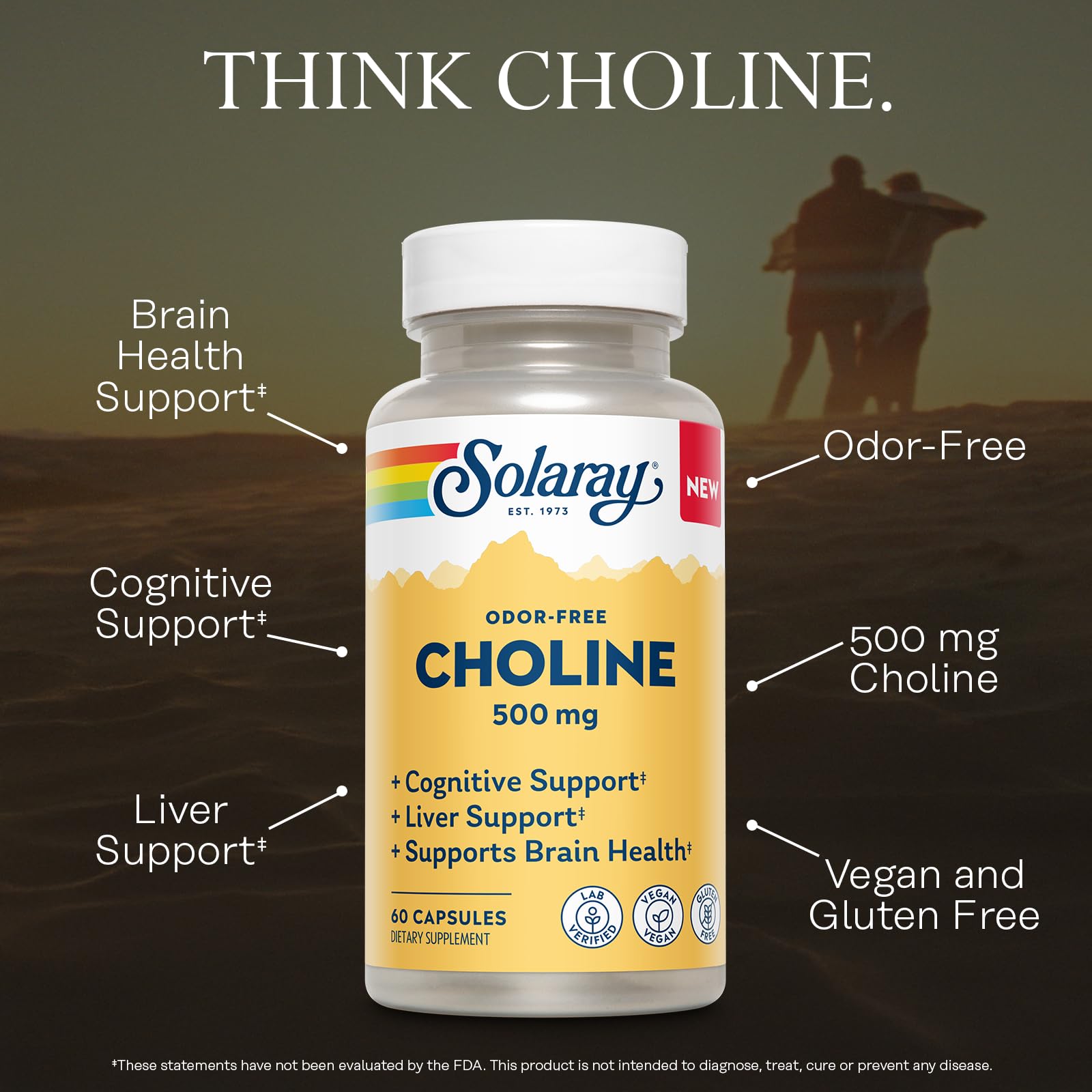 Solaray Choline 60caps